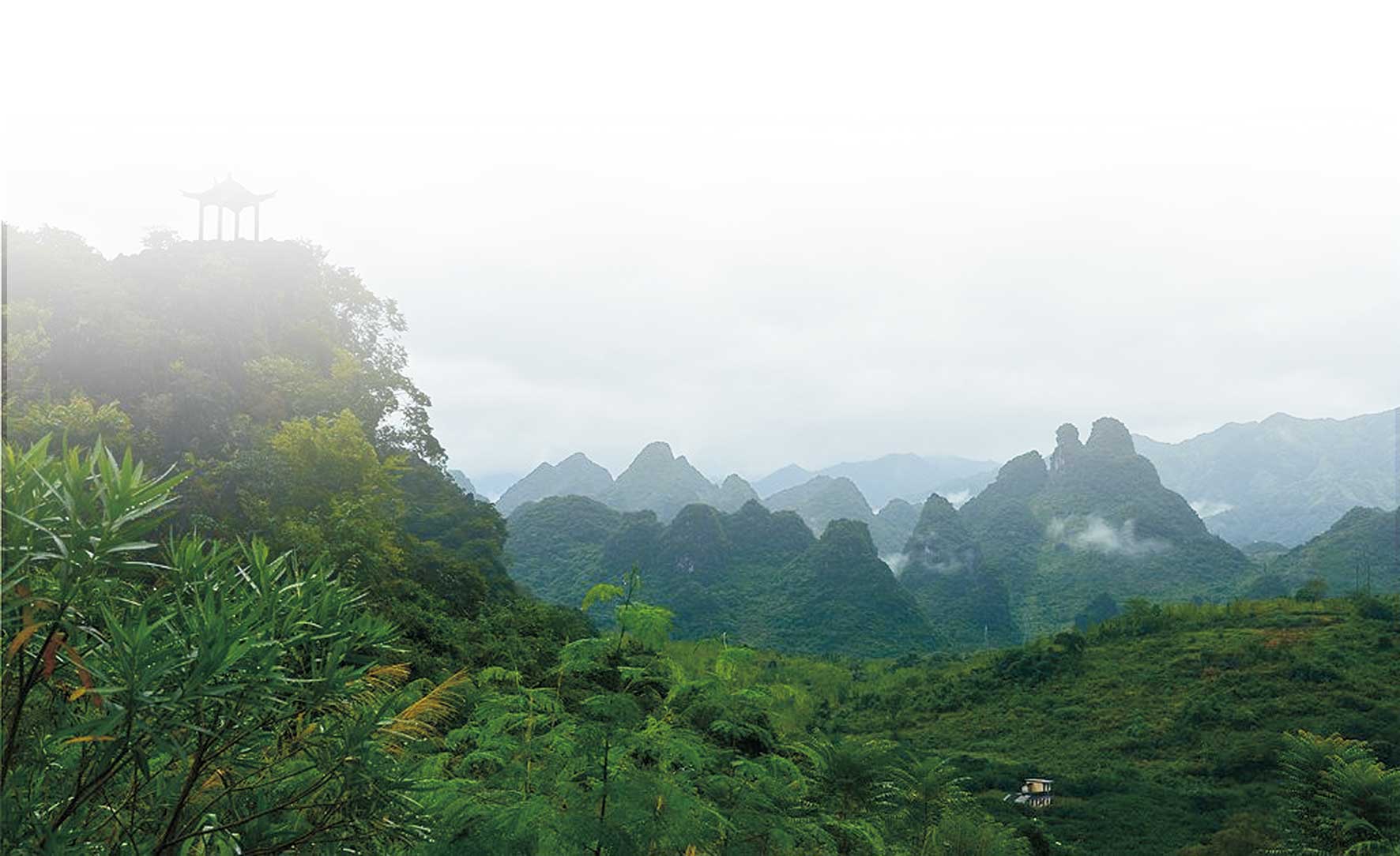 深圳包装设计公司,古一设计,葡萄酒包装设计公司,酒标设计,国产红酒包装设计