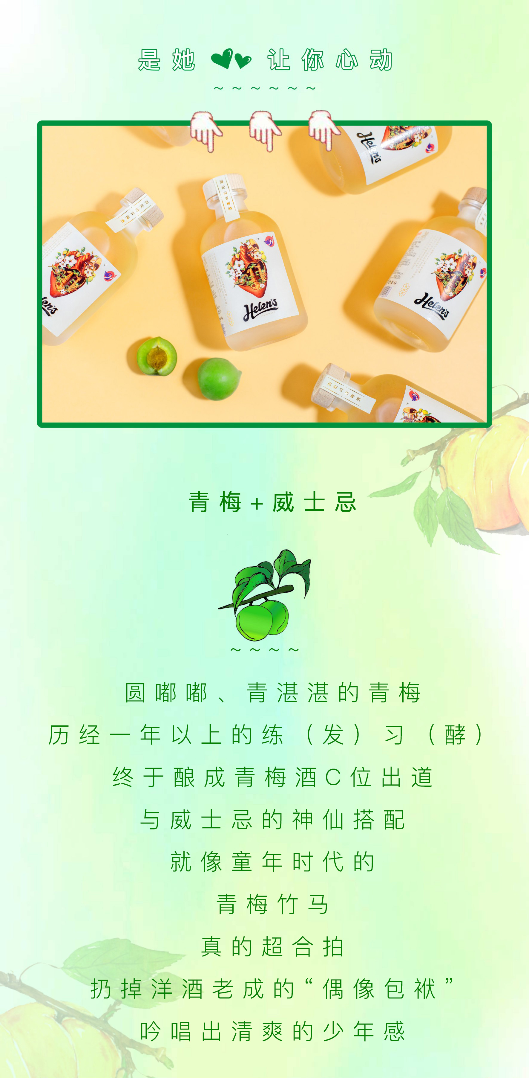 威士忌包装设计,海伦司,青梅酒设计,酒标设计,